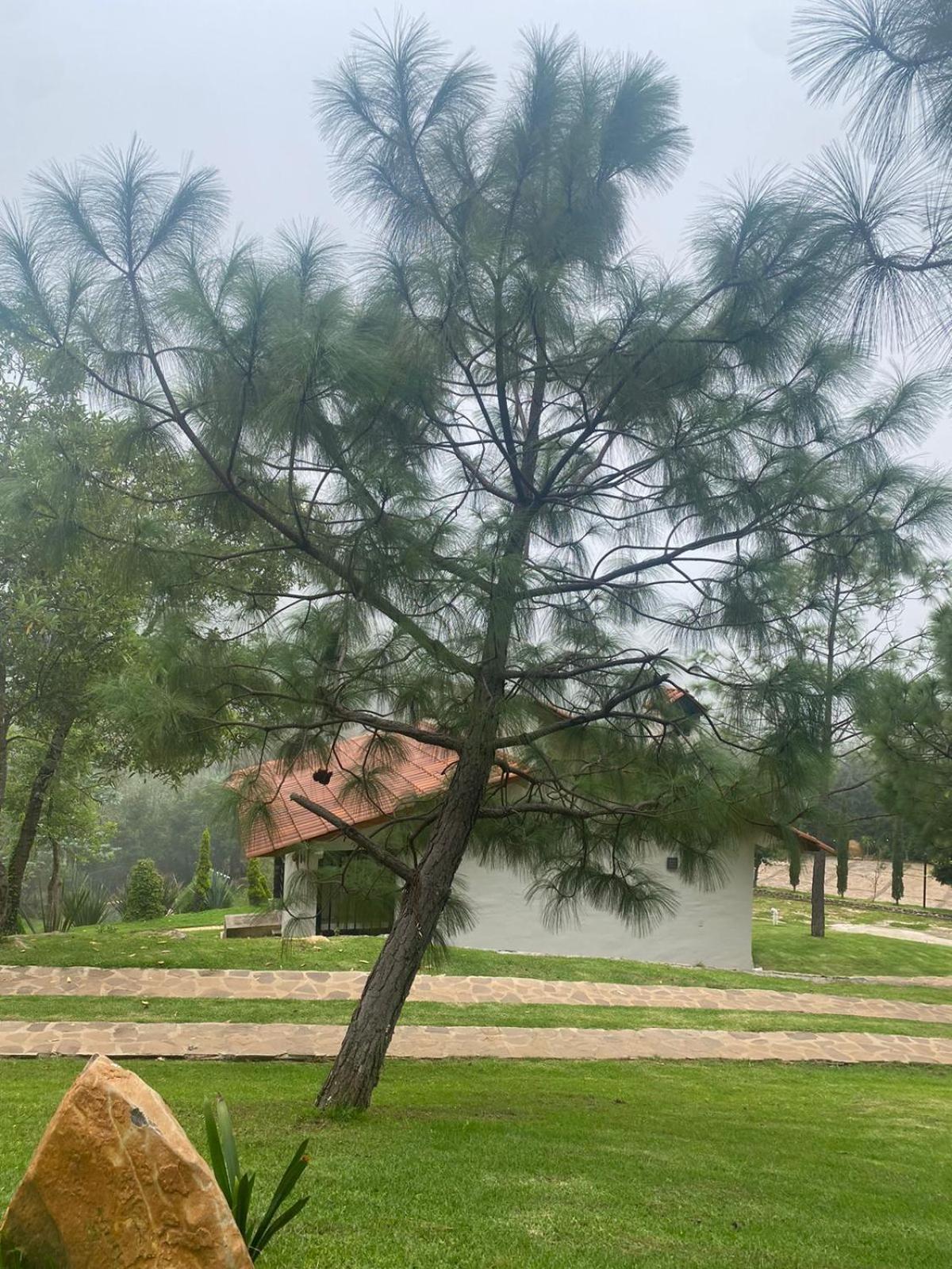 Cabanas Santorito 마자미틀라 외부 사진